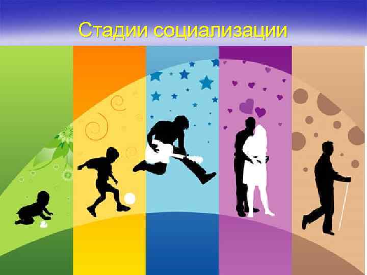 Стадии социализации 