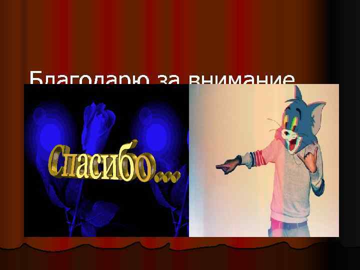 Благодарю за внимание 