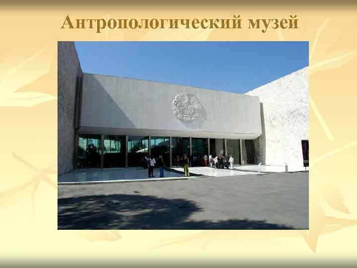 Антропологический музей 