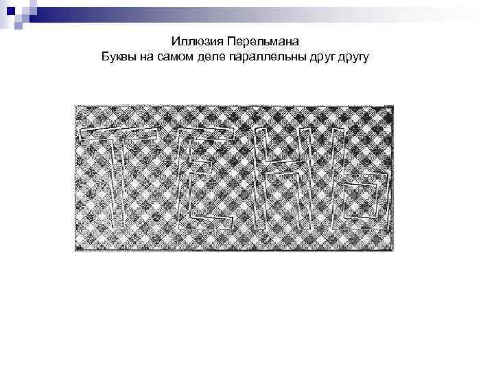   Иллюзия Перельмана Буквы на самом деле параллельны другу 