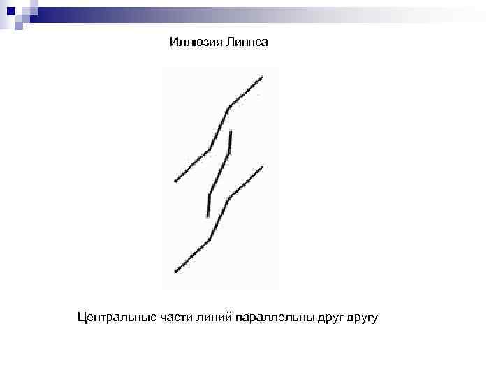    Иллюзия Липпса Центральные части линий параллельны другу 
