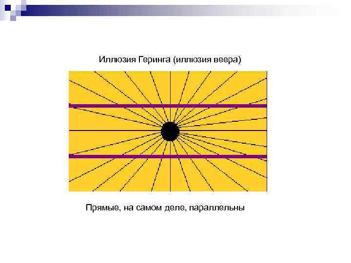  Иллюзия Геринга (иллюзия веера) Прямые, на самом деле, параллельны 