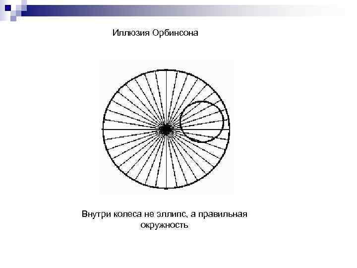  Иллюзия Орбинсона Внутри колеса не эллипс, а правильная   окружность 