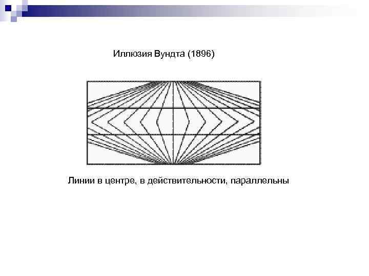    Иллюзия Вундта (1896) Линии в центре, в действительности, параллельны 