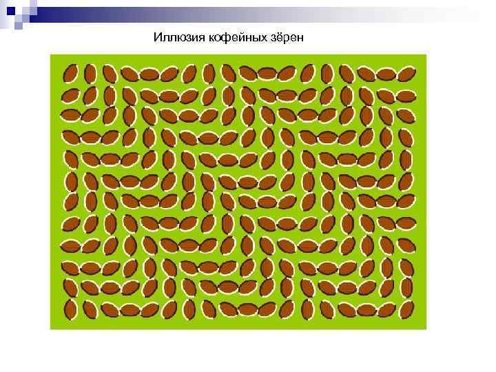 Иллюзия кофейных зёрен 