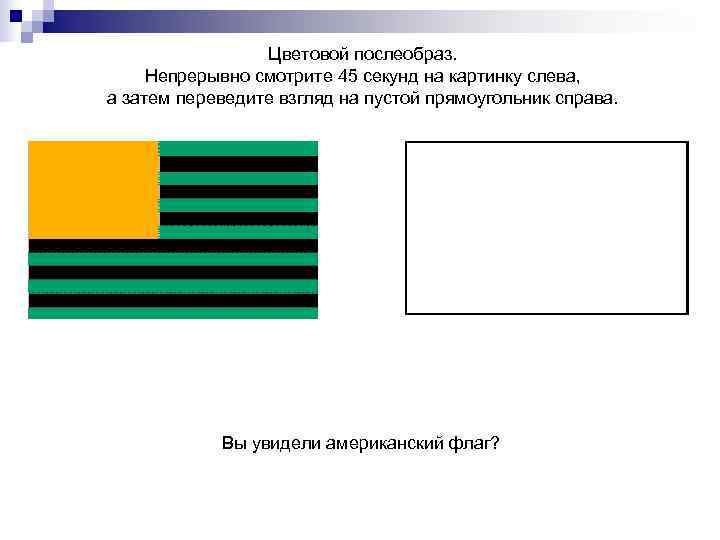    Цветовой послеобраз.  Непрерывно смотрите 45 секунд на картинку слева, а