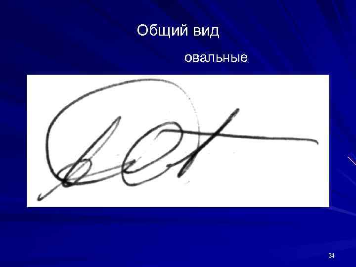 Общий вид овальные 34 Общий вид овальные 34