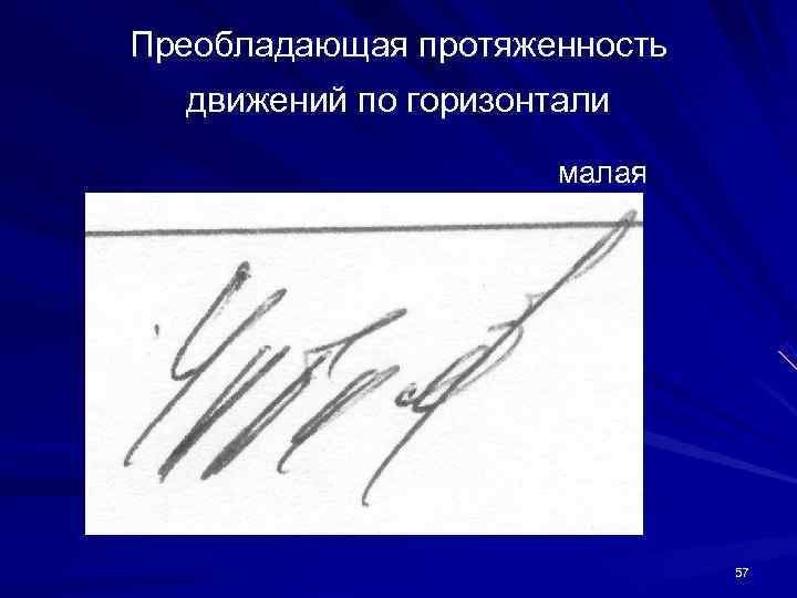 Преобладающая протяженность движений по горизонтали малая Преобладающая протяженность движений по горизонтали малая