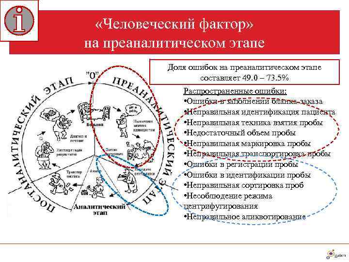  «Человеческий фактор»  на преаналитическом этапе  Доля ошибок на преаналитическом этапе 