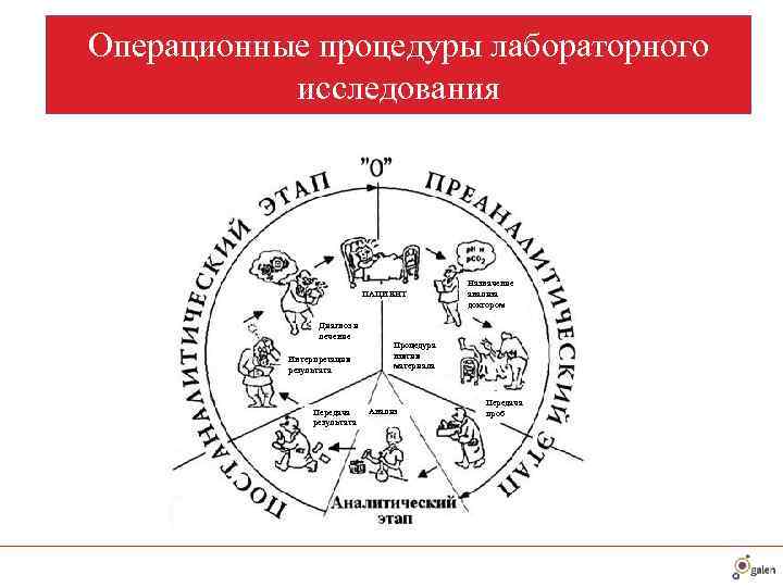  Операционные процедуры лабораторного   исследования      Назначение 