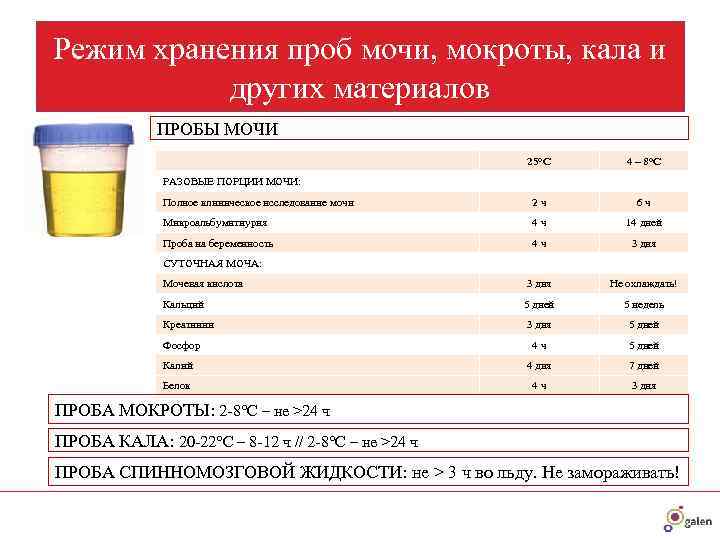 Режим хранения проб мочи, мокроты, кала и   других материалов   ПРОБЫ