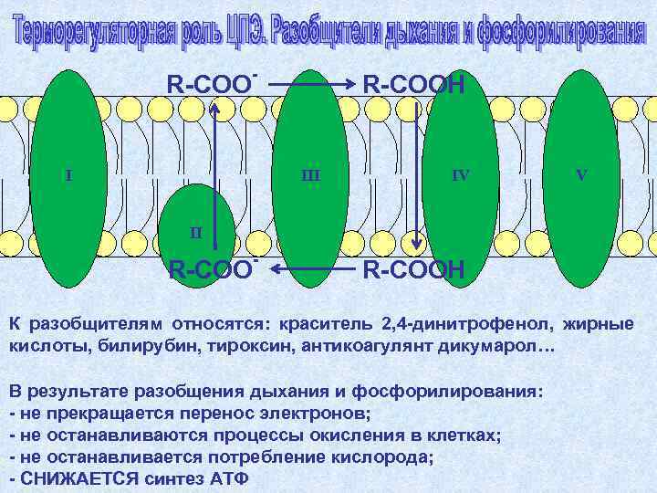     R-COO-  R-COOH  I     III