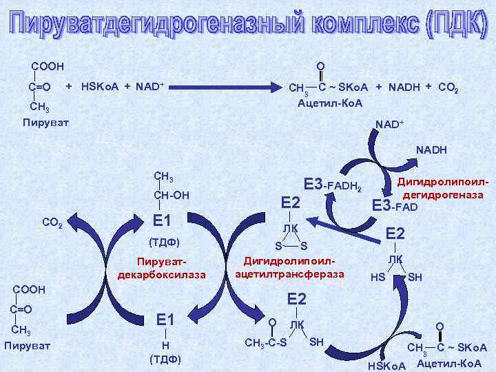   COOH    O  C=O + HSKo. A + NAD+