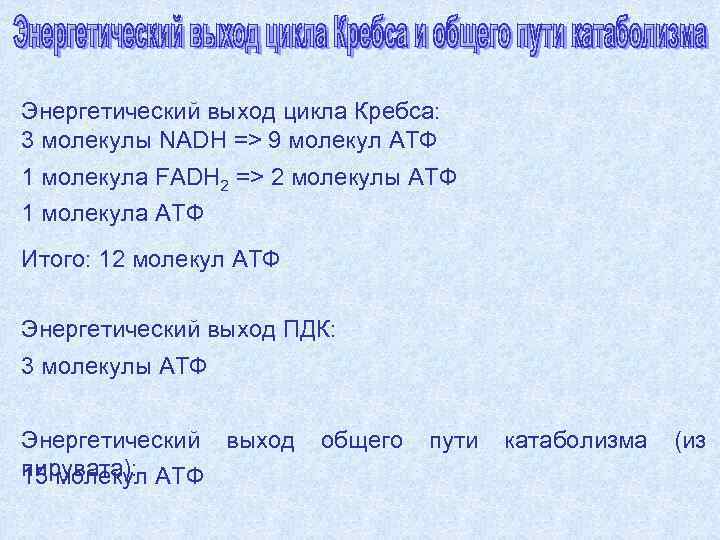 Энергетический выход цикла Кребса: 3 молекулы NADH => 9 молекул АТФ 1 молекула FADH