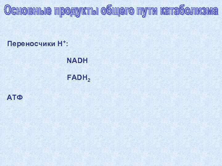 Переносчики H+:   NADH    FADH 2 АТФ 