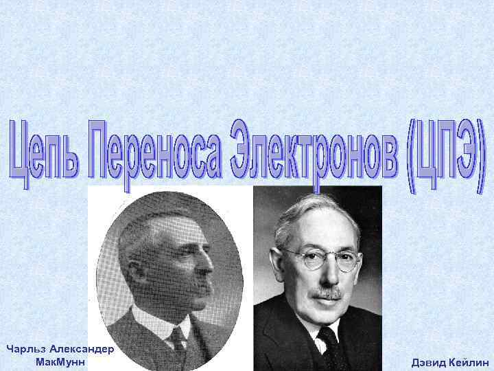 Чарльз Александер Мак. Мунн   Дэвид Кейлин 