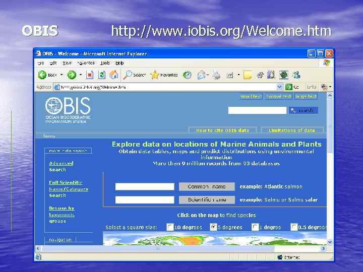 OBIS  http: //www. iobis. org/Welcome. htm 
