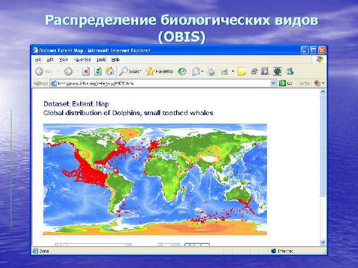 Распределение биологических видов   (OBIS) 