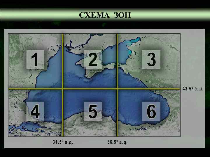 СХЕМА ЗОН 