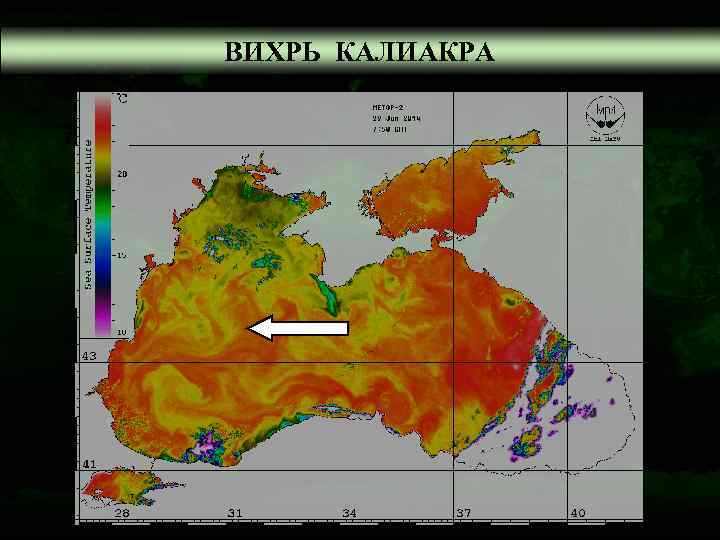ВИХРЬ КАЛИАКРА 
