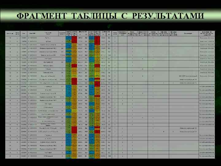 ФРАГМЕНТ ТАБЛИЦЫ С РЕЗУЛЬТАТАМИ 