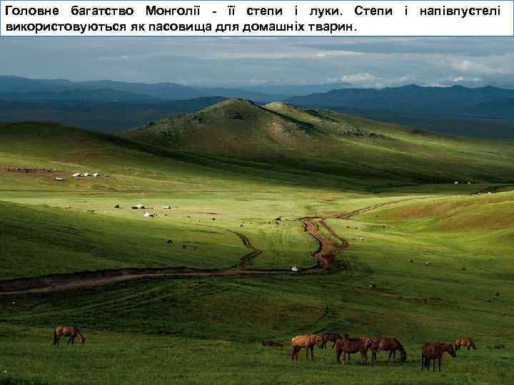 Головне багатство Монголії - її степи і луки. Степи і напівпустелі використовуються як пасовища