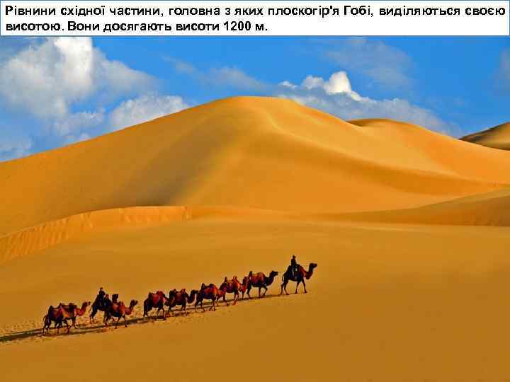 Рівнини східної частини, головна з яких плоскогір'я Гобі, виділяються своєю висотою. Вони досягають висоти