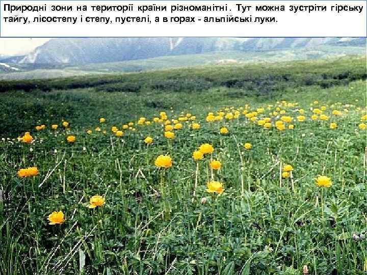 Природні зони на території країни різноманітні. Тут можна зустріти гірську тайгу, лісостепу і степу,