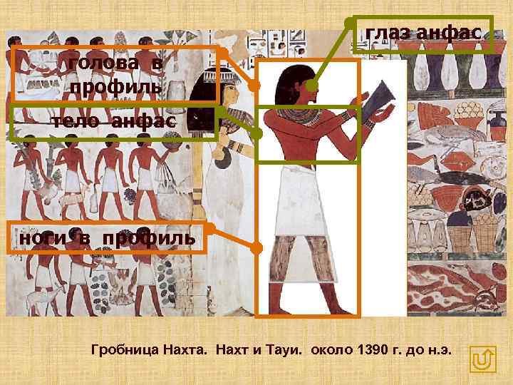        глаз анфас  голова в  профиль