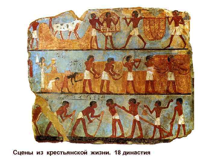 Сцены из крестьянской жизни. 18 династия 