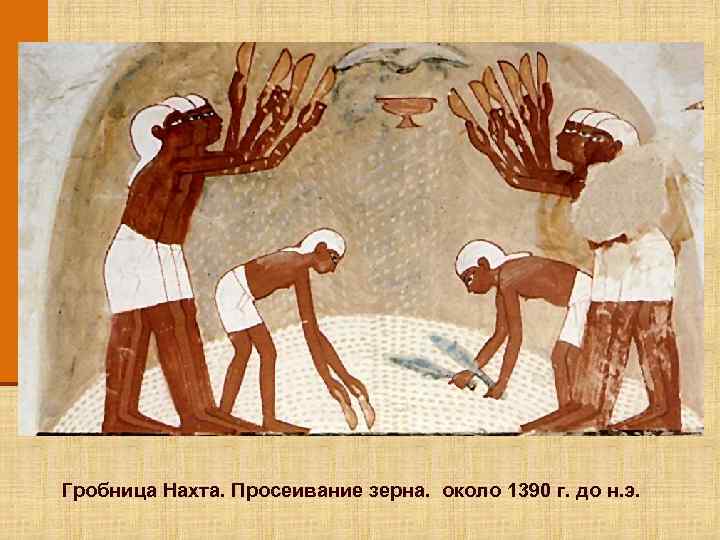 Гробница Нахта. Просеивание зерна. около 1390 г. до н. э. 