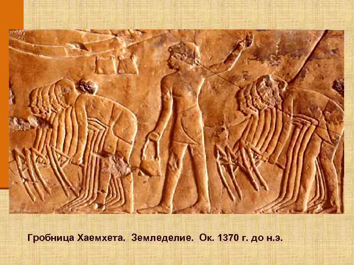 Гробница Хаемхета. Земледелие. Ок. 1370 г. до н. э. 