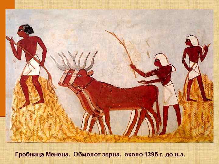 Гробница Менена. Обмолот зерна. около 1395 г. до н. э. 