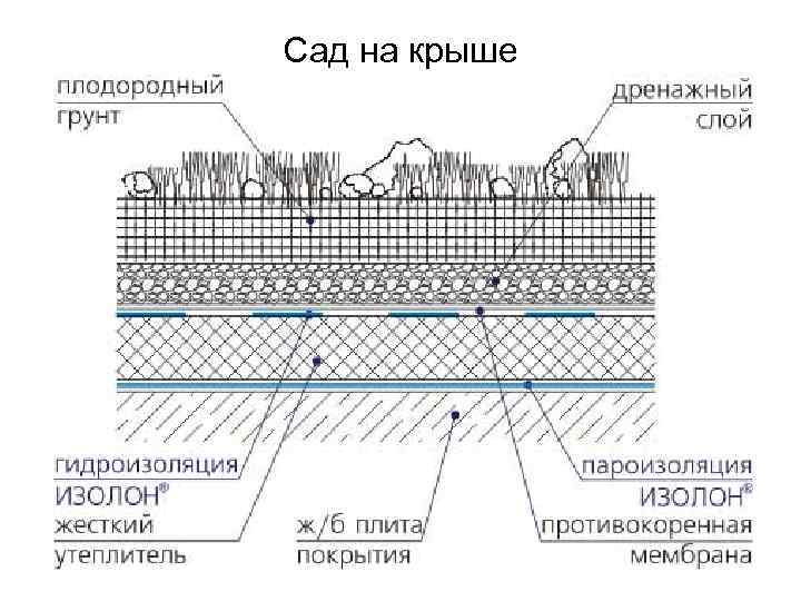 Сад на крыше 