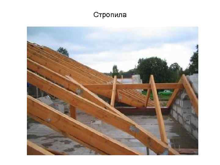 Стропила 