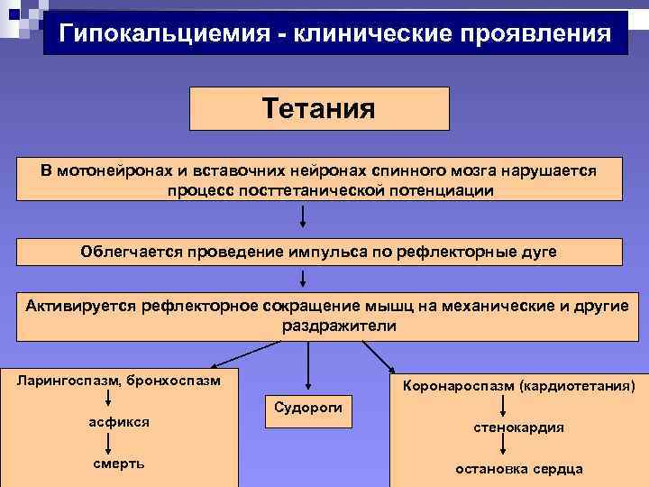  Гипокальциемия - клинические проявления      Тетания  В мотонейронах