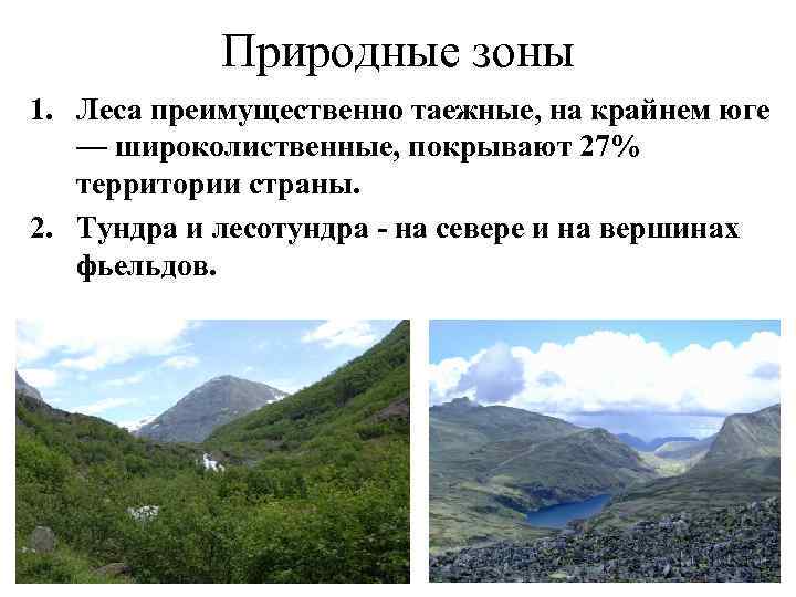 Природные зоны 1. Леса преимущественно таежные, на крайнем юге — широколиственные, Природные зоны 1. Леса преимущественно таежные, на крайнем юге — широколиственные,