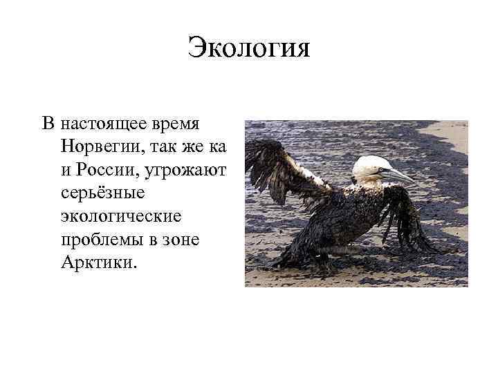 Экология В настоящее время Норвегии, так же ка Экология В настоящее время Норвегии, так же ка