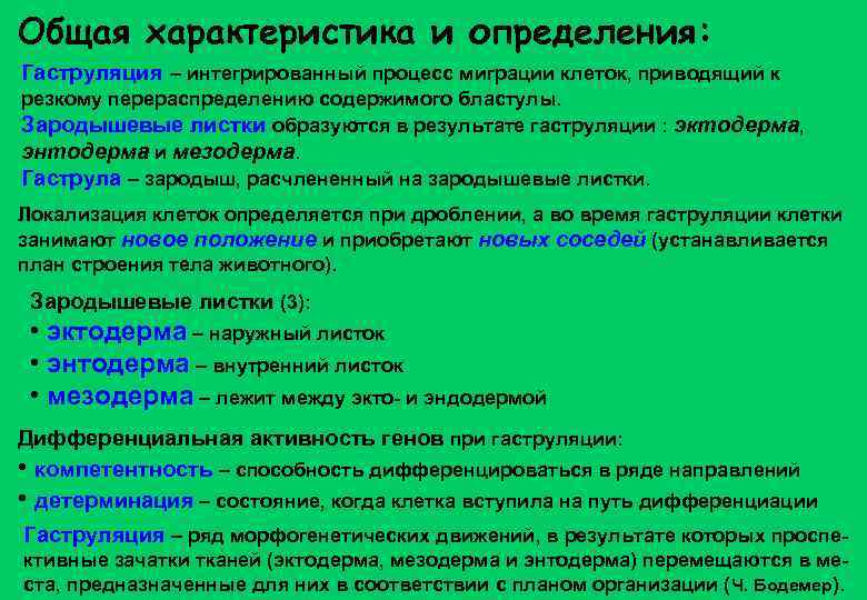 Струла. Общая характеристика процессов гаструляции.. Процесс миграции клеток. Охарактеризуйте миграцию клеток. Факторы обуславливающие процессы гаструляции.