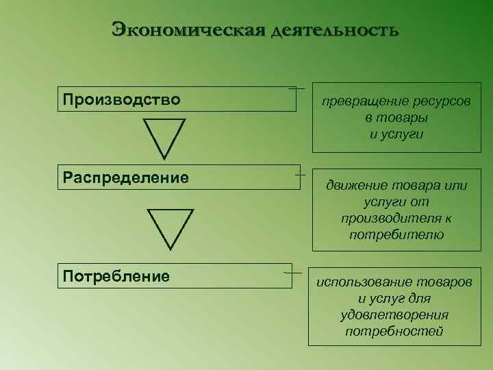  Экономическая деятельность  Производство  превращение ресурсов     в товары