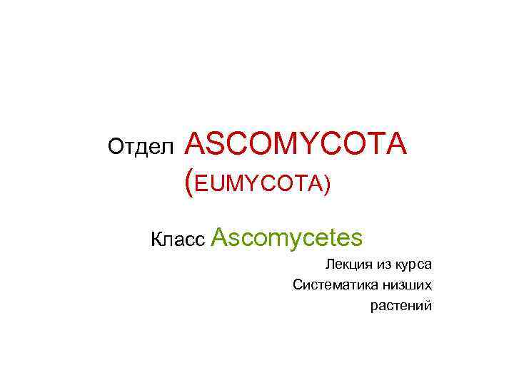 Отдел  ASCOMYCOTA   (EUMYCOTA)  Класс Ascomycetes    Лекция из