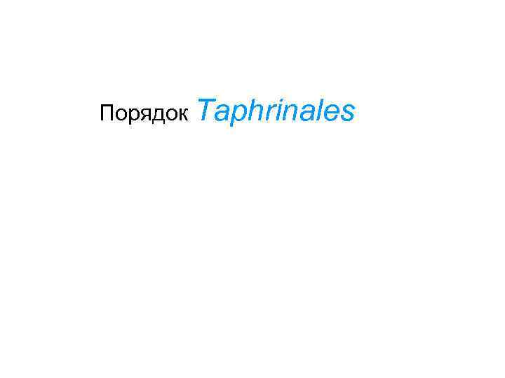 Порядок Taphrinales 