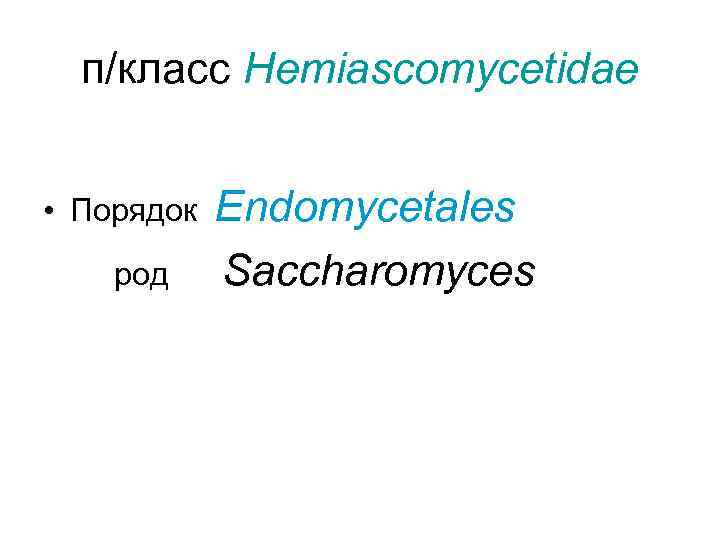  п/класс Hemiascomycetidae  • Порядок  Endomycetales род Saccharomyces 