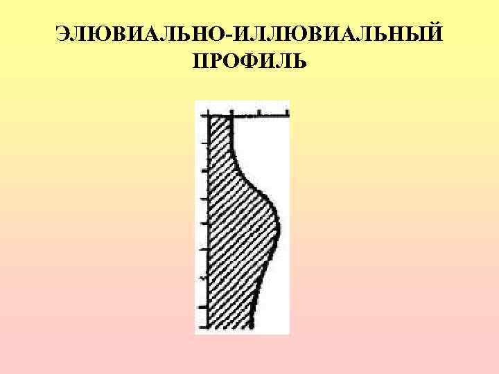 ЭЛЮВИАЛЬНО-ИЛЛЮВИАЛЬНЫЙ   ПРОФИЛЬ 