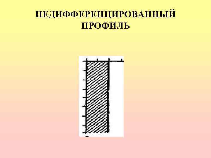 НЕДИФФЕРЕНЦИРОВАННЫЙ  ПРОФИЛЬ 