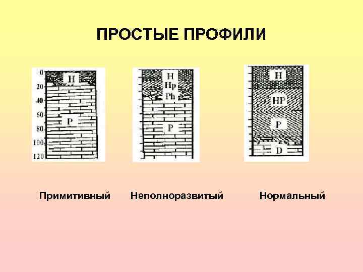   ПРОСТЫЕ ПРОФИЛИ Примитивный  Неполноразвитый  Нормальный 