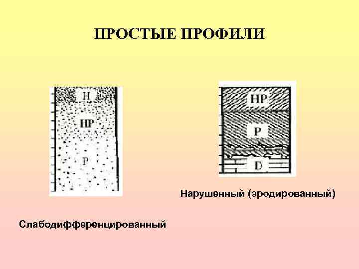   ПРОСТЫЕ ПРОФИЛИ      Нарушенный (эродированный)  Слабодифференцированный 