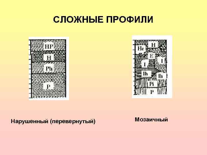   СЛОЖНЫЕ ПРОФИЛИ Нарушенный (перевернутый)  Мозаичный 