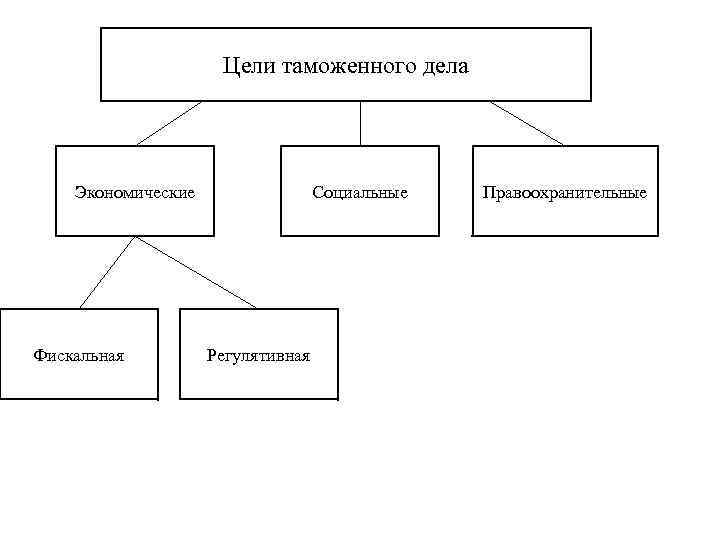      Цели таможенного дела   Экономические   Социальные