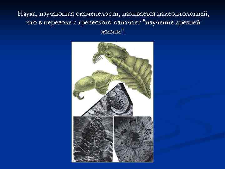 Наука, изучающая окаменелости, называется палеонтологией,  что в переводе с греческого означает 